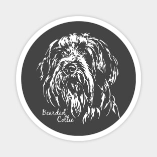 Bearded Collie dog lover dog portrait Magnet